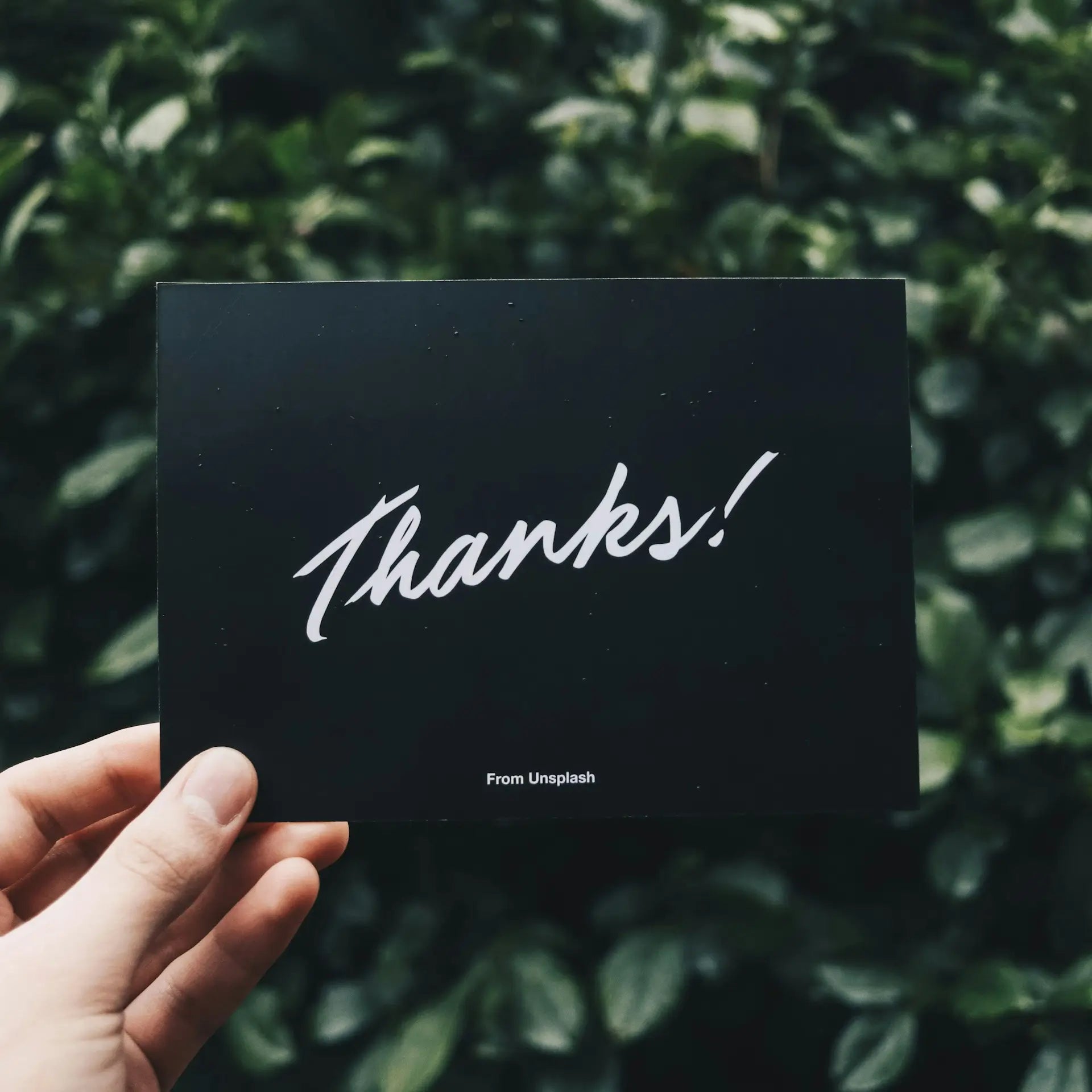 E-Gift Card